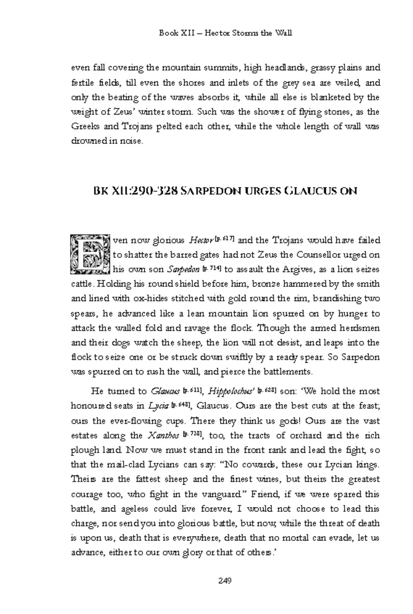 The Iliad - Page 243